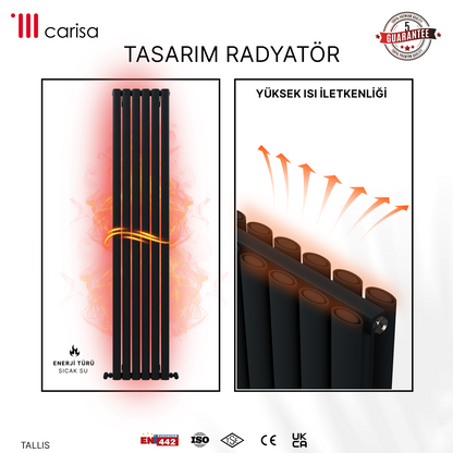 Carisa Tallis Double Alüminyum Radyatör Antrasit Standart Bağlantı