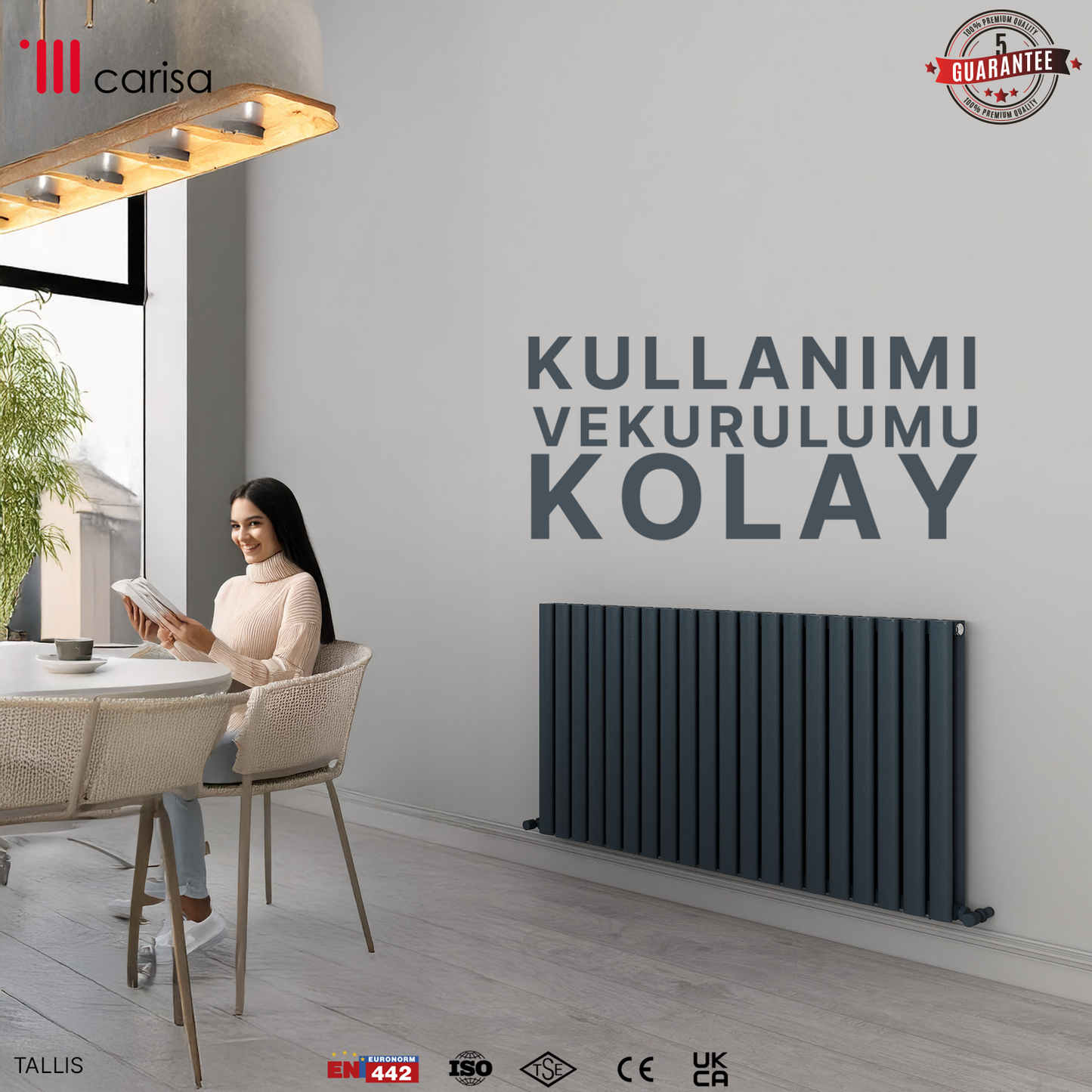 Carisa Tallis Double Alüminyum Radyatör Antrasit Standart Bağlantı