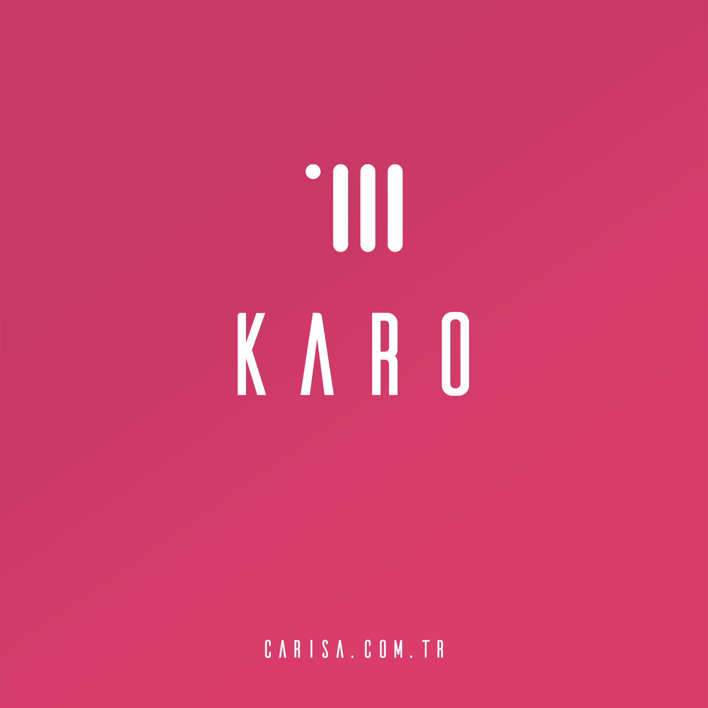 Carisa Karo Alüminyum Dikey Radyatör Standart Bağlantı Beyaz.