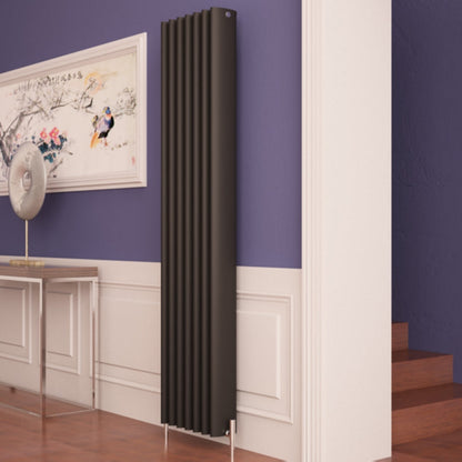 Carisa Oval Dikey Alüminyum Radyatör Modern Tasarım Siyah