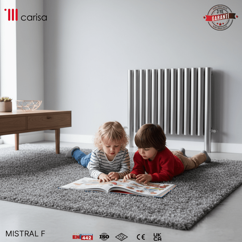 Carisa Mistral F Yatay Paslanmaz Çelik Radyatör Modern Tasarım Ayna Polisaj - carisa