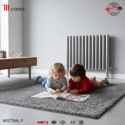 Carisa Mistral F Yatay Paslanmaz Çelik Radyatör Modern Tasarım Ayna Polisaj - carisa