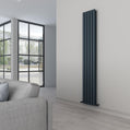 Carisa Tallis Double Alüminyum Radyatör 1800 x 0230 mm 4 Dilim Antrasit Standart Bağlantı